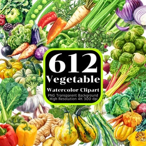 612 Aquarell Gemüse Cliparts, PNG Clipart, hochauflösende 4K mit transparentem Hintergrund, kommerzielle Nutzung