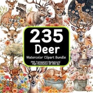 235 Hirsch Clipart Bundle, Aquarell Hirsch, Rehkitz Clipart, Hirsch PNG, Floral Hirsch Clipart, Wald Clipart, Clipart Bundle, 4K hochauflösend