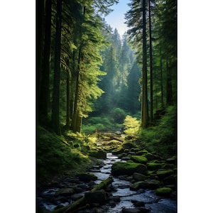 May include: A sunbeam shines through the trees in a lush green forest, illuminating a small stream flowing through the mossy rocks.