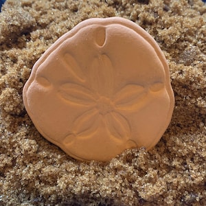 May include: A light orange sand dollar with a detailed floral pattern is partially buried in brown sand. The sand dollar has a circular shape with a slightly raised edge and several small holes. The sand appears to be coarse and granular.