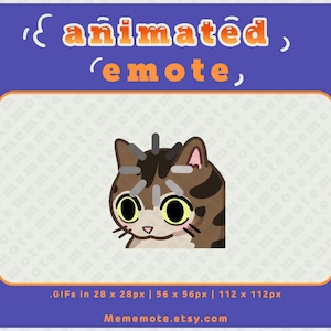 Tabby Cat wordt geanimeerde emote geladen voor Twitch, Discord, YouTube en Kick| ID#A0026
