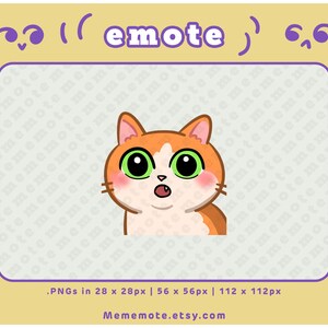Orange Cat OMG Emote for Twitch, Discord, YouTube, Kick| ID#0033