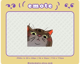 Tabby Cat Stare Emote for Twitch, Discord, YouTube, Kick