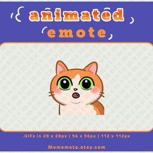 Orange Cat OMG ANIMATED Emote for Twitch, Discord, YouTube, Kick| ID#A0031