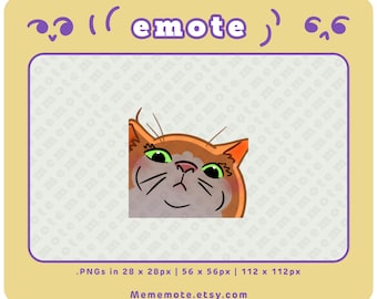 Pode incluir: Uma ilustração digital de um gato de desenho animado com pêlo laranja, olhos verdes e uma expressão de surpresa. A boca do gato está ligeiramente aberta e seus bigodes são visíveis. O fundo é de cor roxo claro com um padrão repetido da palavra "meme".