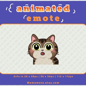 Tabby Cat OMG GEANIMEERDE emote voor Twitch, Discord, YouTube, Kick| ID#A0030