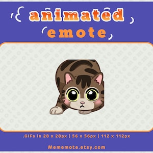 Tabby Cat Hunting Wiggling Gesto ANIMADO para Twitch, Discord, YouTube, Kick/ ID#A0012