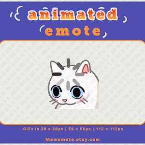 Könnte beinhalten: Animiertes GIF einer weißen Katze mit blauen Augen und einem überraschten Ausdruck. Der Mund der Katze ist leicht geöffnet und ihre Augenbrauen sind hochgezogen. Das GIF ist in drei Größen verfügbar: 28 x 28 Pixel, 56 x 56 Pixel und 112 x 112 Pixel.