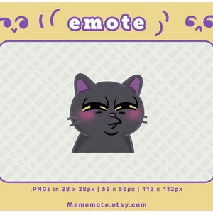 Hmmm Black Cat Emote for Twitch, Discord, YouTube, Kick| ID#0015