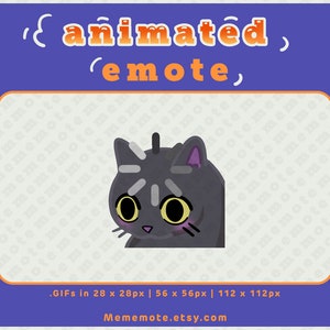 Black Cat wordt geanimeerde emote geladen voor Twitch, Discord, YouTube en Kick| ID#A0025