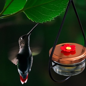 Floral Glass Hummingbird Feeder: Elegant Garden Decoration