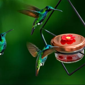 3-Tier Hummingbird Feeder – Bee-Proof, Ant-Proof, Leak-Free Outdoor Bird Feeder, Unique Gift for Friend, Mother Day Gift, Bird Watching Gift