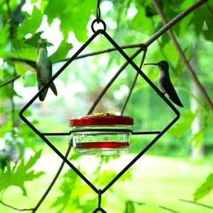 Elegant Hanging Glass Hummingbird Feeder - Premium Garden Décor, Perfect Gift for Bird Lovers