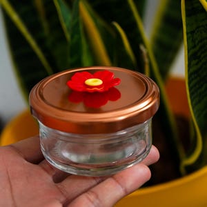 Glass Jar Replacement for Hummingbird Feeders – Premium Outdoor Garden Décor Accessory & Ideal Gift for Bird Lovers