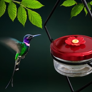 Diamond Glass Hummingbird Feeder: Elegant Garden Decor, Bird Lover Gift