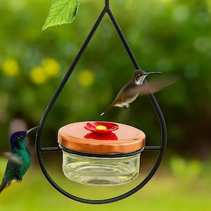 Teardrop Glass Hummingbird Feeder: Floral Accents, Easy to Clean