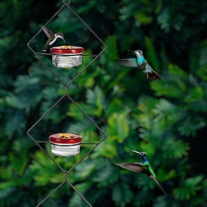 Glass Hummingbird Feeder Set – Bee-Proof, Leak-Proof Feeders with Stylish Design | Premium Garden Décor & Perfect Gift for Bird Lovers