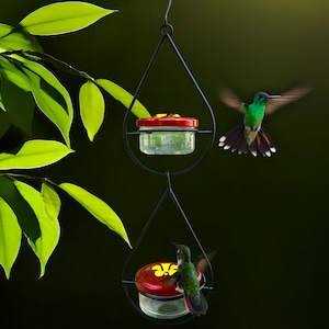 Glass Hummingbird Feeder Set - Premium Garden Decor, Perfect Gift for Bird Lovers