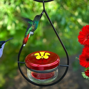 Premium Glass Hummingbird Feeder Set for Garden Décor and Outdoor Bird Watching, Perfect Gift for Nature and Bird Lovers