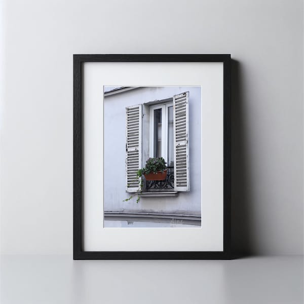 Rustic window with flower box, French, shutters, photographic print, digital download, neutral color palate, home decor, living room