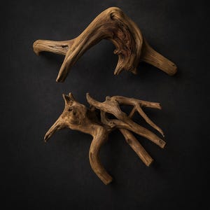 Spiderwood 7-11 Inch | Natural Aquarium Driftwood for Aquascaping & Planted Tanks