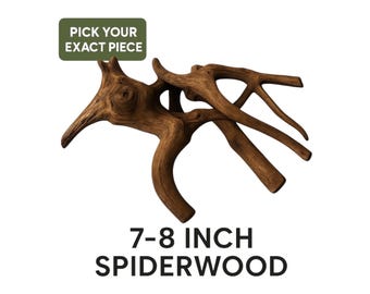 Spiderwood Driftwood | Natural Aquarium Wood for Aquascaping & Planted Tanks – Pick Your Piece