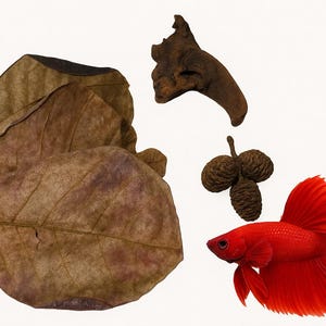 Aquarium Tannin Pack for Betta w/ Driftwood | Shrimp and Blackwater Tanks
