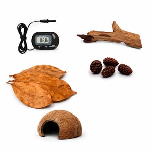 Betta Fish Tank Essentials Kit – Natural Aquarium Starter Bundle