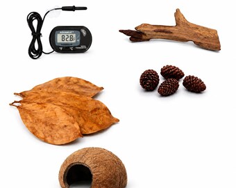 Betta Fish Tank Essentials Kit – Natural Aquarium Starter Bundle