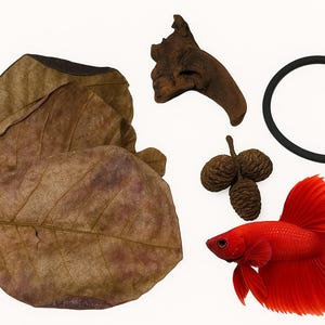 May include: An assortment of aquarium decor and a red Betta fish. The image includes a large dried leaf, a piece of driftwood, three small pinecones, a black ring, and a vibrant red Betta fish with flowing fins.