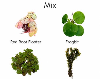Floating Plant Mix Pack Live Aquarium Plants Bundle | Red Root Floater, Frogbit, Salvinia Minima & Anacharis | Betta Shrimp Tank