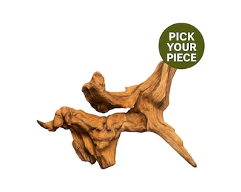 Mopani Driftwood 6-11 Inch | Natural Aquarium Wood for Tanks (Pick Your Piece)