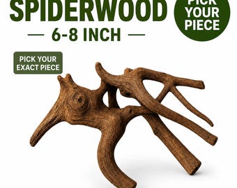 Unique Spiderwood Driftwood | Natural Aquarium Wood for Aquascaping & Planted Tanks – Pick Your Piece