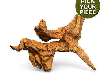 Mopani Driftwood 6-11 Inch | Natural Aquarium Wood for Tanks (Pick Your Piece)