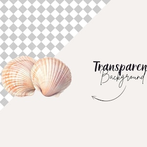 Puede incluir: Dos conchas, una rosa claro y otra marr&oacute;n claro, con una superficie texturizada. Las conchas est&aacute;n sobre un fondo blanco.