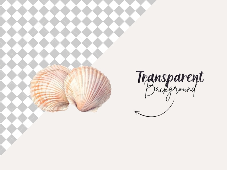 Puede incluir: Dos conchas, una rosa claro y otra marr&oacute;n claro, con una superficie texturizada. Las conchas est&aacute;n sobre un fondo blanco.