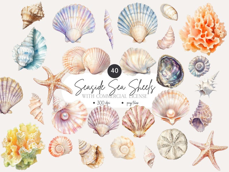 Puede incluir: Una colecci&oacute;n de 40 ilustraciones de acuarela de conchas marinas, estrellas de mar y coral. Las ilustraciones est&aacute;n en una variedad de colores, incluyendo rosa, azul, verde y marr&oacute;n. El texto "Seashore Sea Shells with Commercial License" est&aacute; escrito en una fuente decorativa.