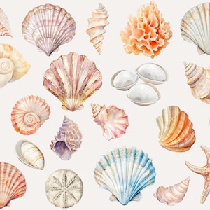 Seaside Sea Shells clipart, png, underwater clipart, Realistic ocean sea shells clipart
High-quality, detailed sea shell clipart, ideal for scrapbooking and beach decorations.