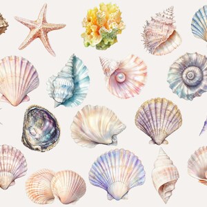 Seaside Sea Shells clipart, png, underwater clipart, Realistic ocean sea shells clipart
High-quality, detailed sea shell clipart, ideal for scrapbooking and beach decorations.
