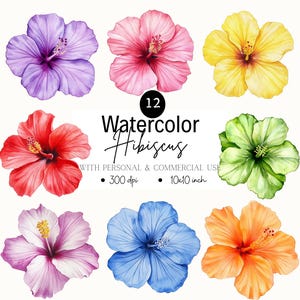 Watercolor Hibiscus Clipart Set: Tropical Flower PNG, Tshirt Design (Digital Download