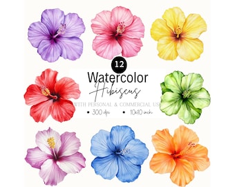 Conjunto de imágenes prediseñadas de hibisco en acuarela: flores tropicales PNG, diseño de camiseta (descarga digital)