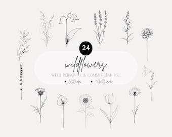 Clipart de arte lineal de flores silvestres: PNG floral dibujado a mano (descarga digital)