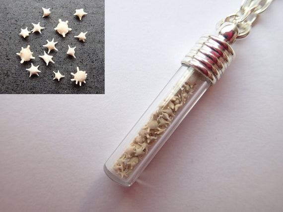 Rare Japanese STAR SAND in a GLASS Vial Tube on a Necklace