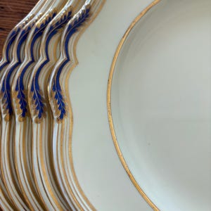 Puede incluir: Una pila de platos blanquecinos con borde dorado y diseño de plumas azules y doradas. Los platos tienen un borde festoneado y están apilados.