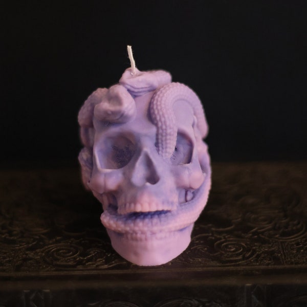 Snake & Skull Candle | Soy Wax Candle | Decor Candle | Gothic Candle | Goth Decor | Unscented Candle | Dark Academia