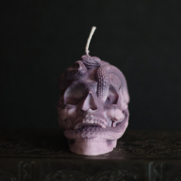 Snake & Skull Candle | Soy Wax Candle | Decor Candle | Gothic Candle | Goth Decor | Scented Candle | Dark Academia