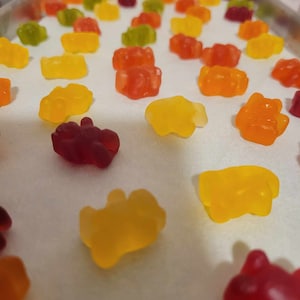 Freeze Dried Gummy Bears