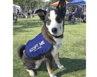 Custom Dog Jacket – Embroidered “Adopt Me” Style Rescue Vest, Personalized Shelter Name Dog Coat