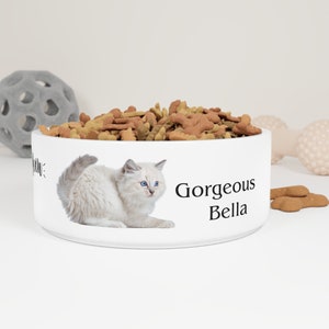 Personalized Pet Bowl CUSTOM Pet Bowl Dog Bowl Cat Bowl Pet Bowl with Name Bunny Bowl Unique Pet Gifts