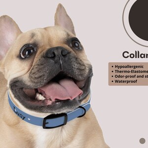 Collar Dog Collar Cat Collar Personalized Collar Pet Accessories Waterproof Collar